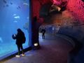 ZOO Wrocław