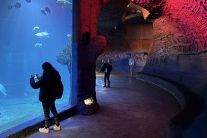 ZOO Wrocław