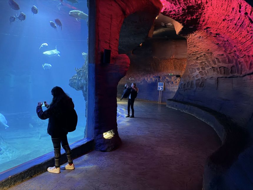 ZOO Wrocław