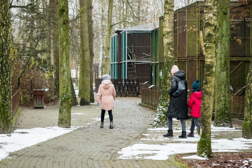 Zoo w Myślęcinku