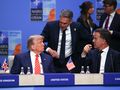 Trump Rutte