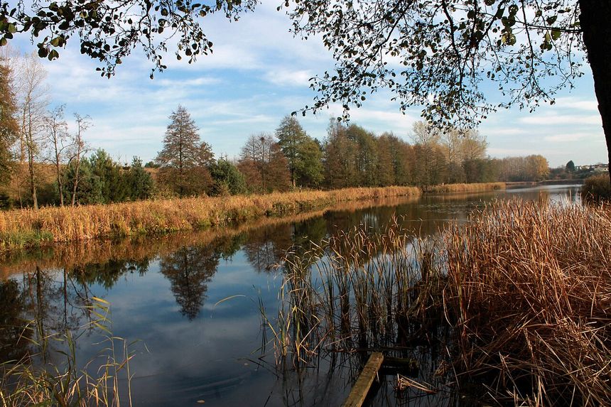 Jezioro Burmistrzowskie w Złotowie