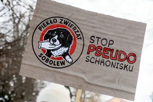 Protest