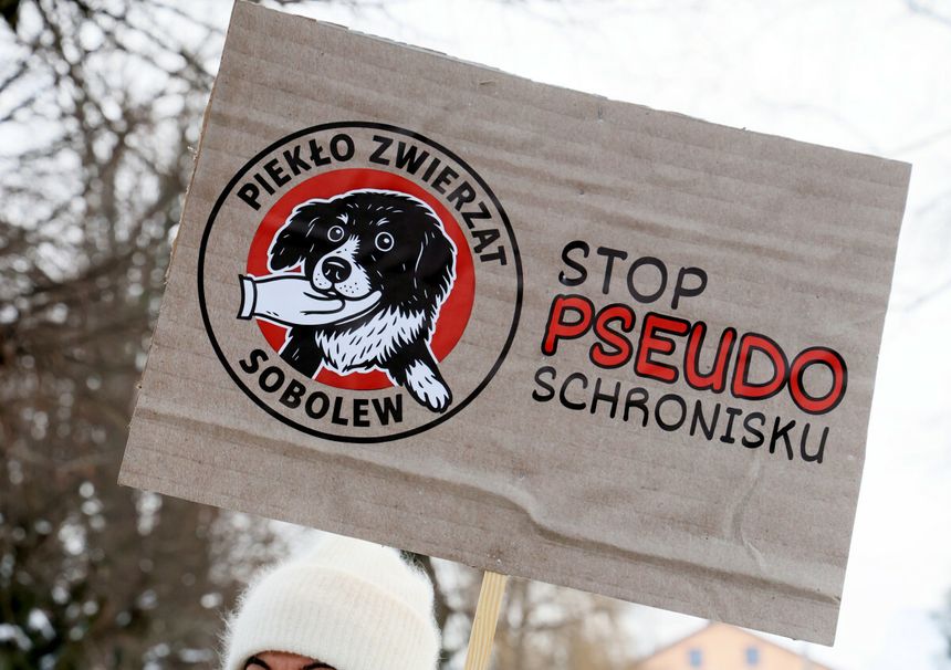 Protest
