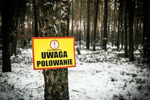 Polowanie