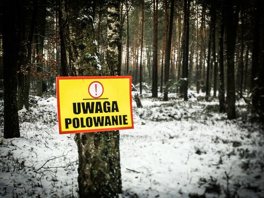Polowanie