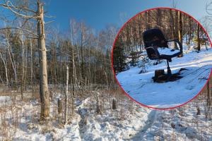Znalezisko leśników ze Świdnicy