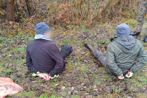 Próba kradzieży szczupaków podczas zarybiania