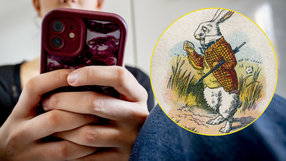 O co chodzi z białym królikiem na TikToku?