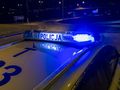 policja