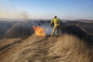 gaszenie pozaru trawy