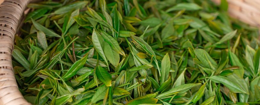 Pij to rano zamiast kawy. Waga spadnie w dół, a energia będzie cię rozpierać