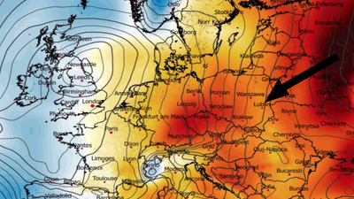 Anomalia temperatury na poziomie ciśnienia 850 hPa 31.01
