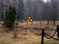 Czarnobyl