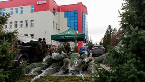 fot. Wojciech Wojtkielewicz/Polska Press/East News