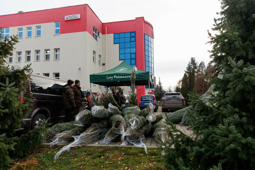 fot. Wojciech Wojtkielewicz/Polska Press/East News