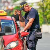 Mandat - materiał poglądowy