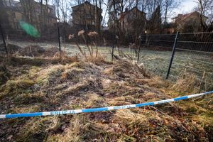 zabójstwo w Jeleniej Górze