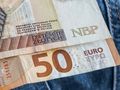 zloty, euro, pieniądze