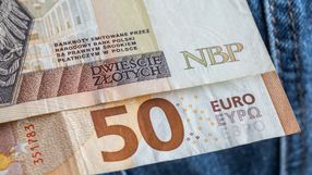zloty, euro, pieniądze