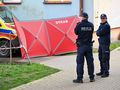 policja