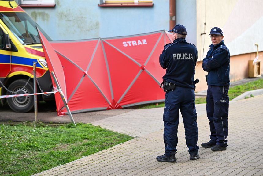 policja