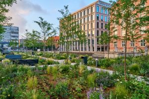 Wrocław, inwestycje