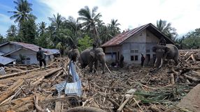 Indonezja. W powodziach i osuwiskach zginęło prawie tysiąc osób