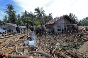 Indonezja. W powodziach i osuwiskach zginęło prawie tysiąc osób