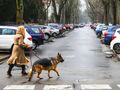 Dlaczego złe zachowanie psa jest winą człowieka?