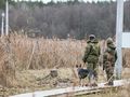 Kolejne naruszenie polskiej przestrzeni powietrznej