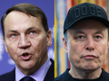 Radosław Sikorski Elon Musk