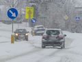 śnieżyca