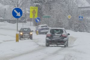śnieżyca