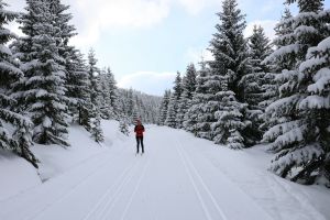 Góry, trasy narciarskie