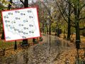 Pogoda na drugi tydzień grudnia