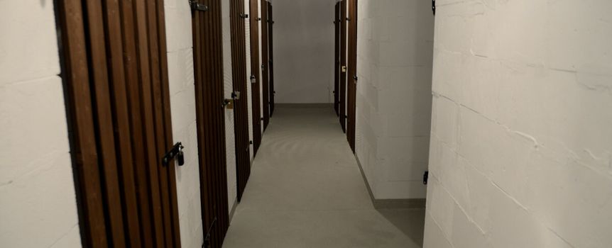 komórki lokatorskie