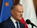 tusk
