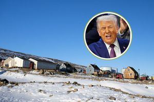 grenlandia/trump