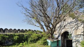Madhya Pradesh