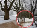 Staw Słoneczny jest grodzony przez Aquanet w Poznaniu