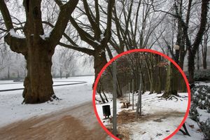 Staw Słoneczny jest grodzony przez Aquanet w Poznaniu