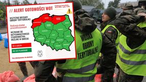 żolnierze WOT