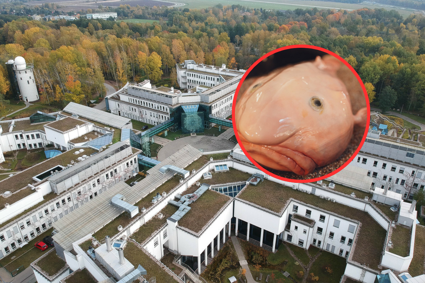 Uniwersytet w Białymstoku