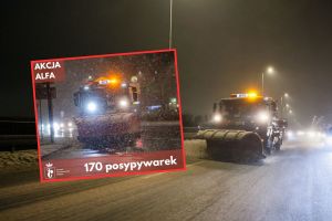Pługi w Warszawie