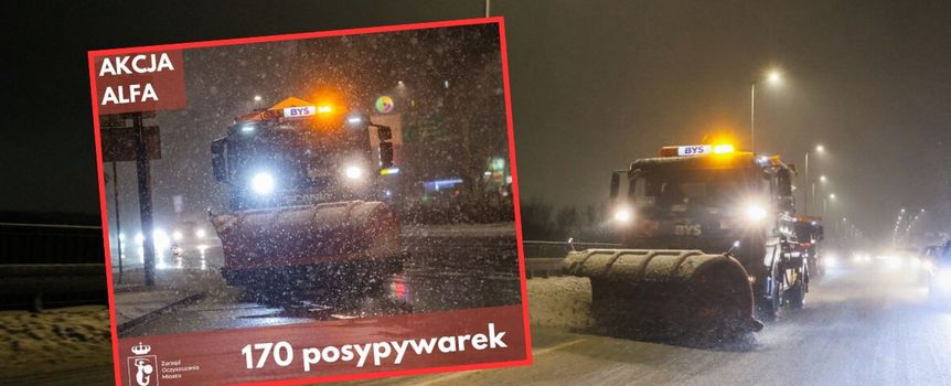 Pługi w Warszawie