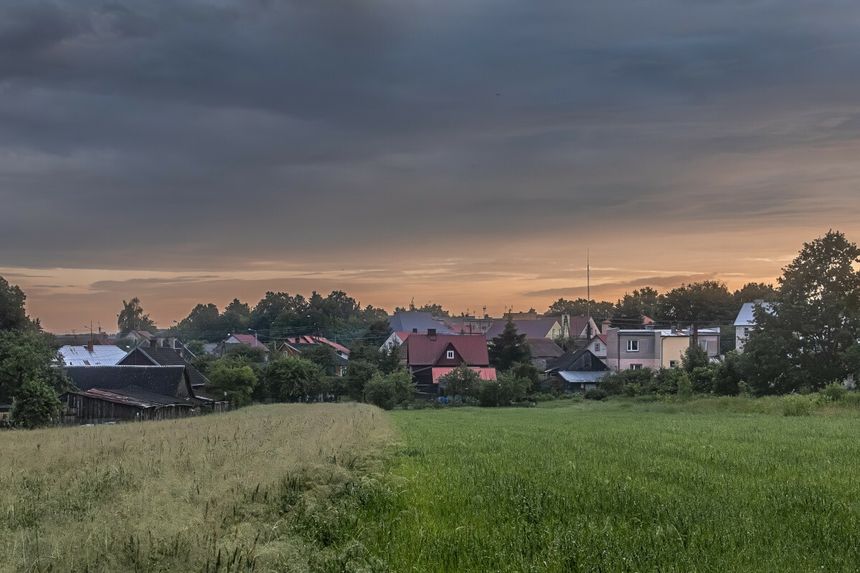 Krynki