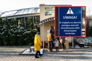 Komunikat zoo w Poznaniu o zamknięciu ogrodu