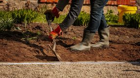 Jeden z najzdrowszych owoców świata. Wciąż mnóstwo Polaków uważa, że to warzywo