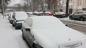 Zima